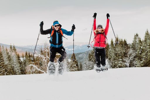 Vorschau Bild von Schneeschuhwandern in Peter Roseggers Waldheimat