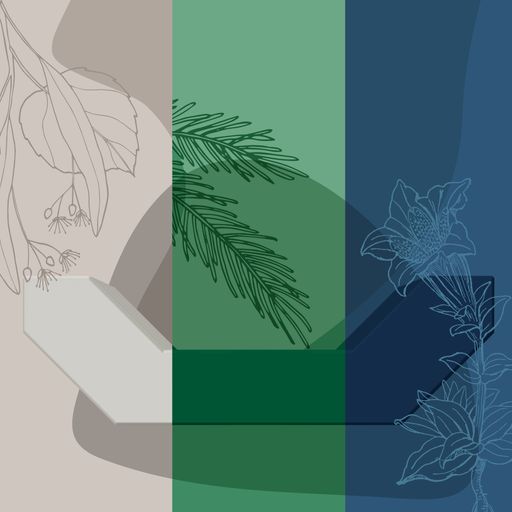 Übersicht MQ Enzi-Voting