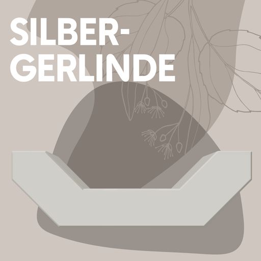Vorschau Bild von MQ Enzi-Voting: Silber-Gerlinde