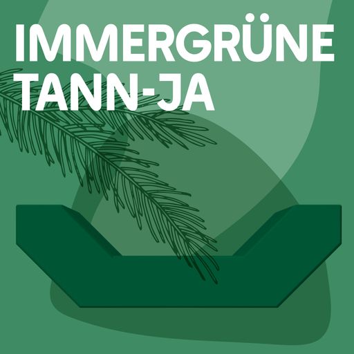 Vorschau Bild von MQ Enzi-Voting: Immergrüne Tann-ja