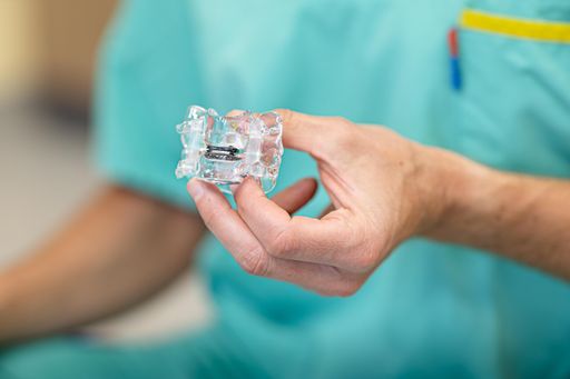 Vorschau Bild von Das Modell der Bandscheibenprothese