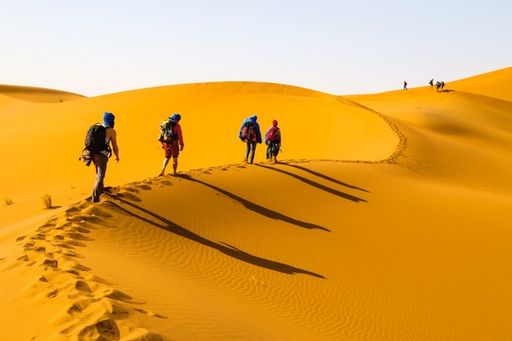 Gäste von Weltweitwandern ziehen durch Marokko auf
der Suche nach den "Sternschnuppen der Wüste"