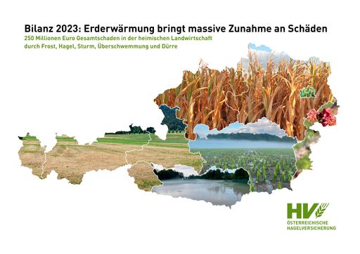 Bilanz 2023: Erderwärmung bringt massive Zunahme an
Schäden