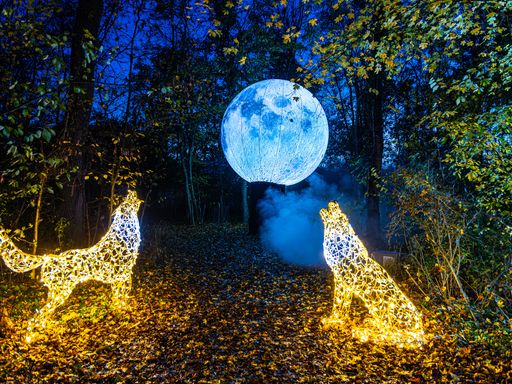 Vorschau Bild von Zauberhafte Lichtkunst im Christmas Garden Schloss Grafenegg nur
noch für kurze Zeit!