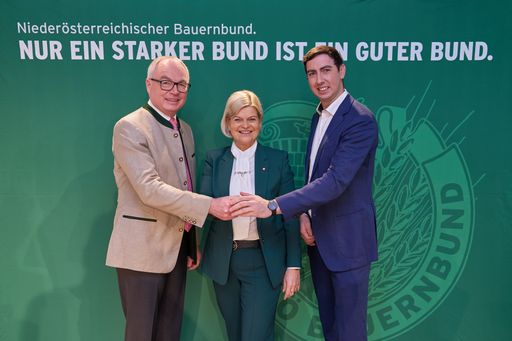 Vorschau Bild von Das starke Bauernbundteam für Land, Bund und EU.
Stephan Pernkopf, Klaudia Tanner und Alexander Bernhuber.