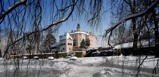  Schloss im Winter