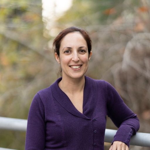 Aya Cohen leitet seit Jänner 2024 die SAL MicroFab bei Silicon
Austria Labs in Villach.