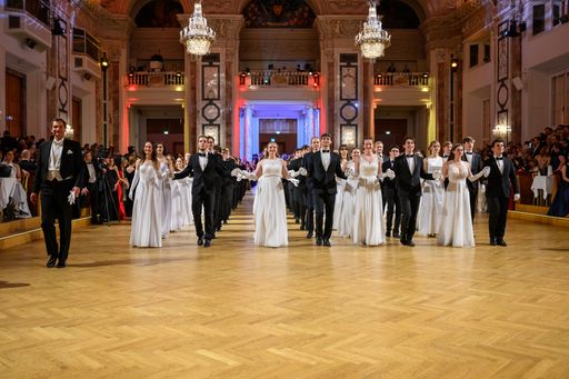 Vorschau Bild von Einzug beim 18. Ball der Immobilienwirtschaft