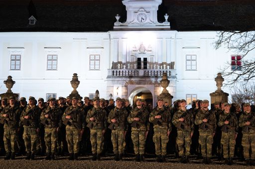 FBM Tanner bei der Angelobung in Rohrau in NÖ am 16
02 2024