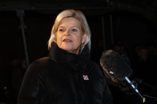 Vorschau Bild von FBM Tanner bei der Angelobung in Rohrau in NÖ am 16
02 2024