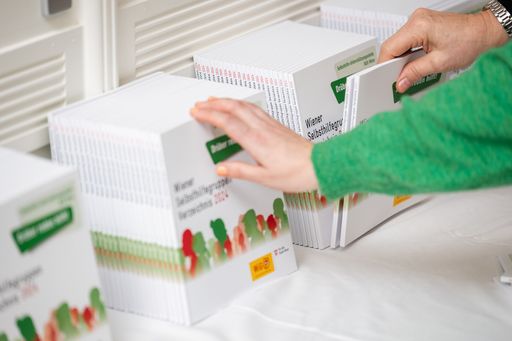 Vorschau Bild von Mit über 260 Wiener Selbsthilfegruppen zu 147
Themen ist das Selbsthilfegruppen Verzeichnis eine wichtige
Informationsquelle für Betroffene und Angehörige.