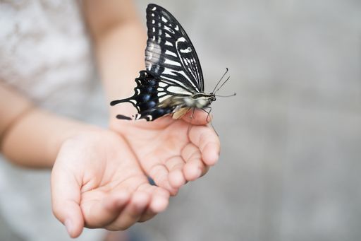  Rare Disease Day am 29.2.2024 - Hoffnung beginnt mit Forschung:
RHEACELL erhält positives Signal für beschleunigtes
Stammzell-Entwicklungsprogramm zur Behandlung der seltenen
Schmetterlingskrankheit, einer genetischen Hauterkrankung mit
massiver Beeinträchtigung der Lebensqualität, für die es bislang
keine Heilung gibt. / Die Verwendung dieses Bildes für redaktionelle
Zwecke ist unter Beachtung aller mitgeteilten Nutzungsbedingungen
zulässig und dann auch honorarfrei. Veröffentlichung ausschließlich
mit Bildrechte-Hinweis.