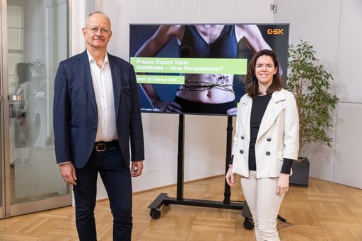 https://www.apa-fotoservice.at/galerie/36047 Im Bild v.l.n.r.:
Ao. Univ.-Prof. Dr. Stefan Winkler Stv. Leiter der Klinischen
Abteilung für Infektionen und Tropenmedizin, Univ. Klinik für Innere
Medizin I, AKH Wien; Assoc. Prof. PD Dr. Assunta Dal-Bianco
Abteilung für Neurologie, Univ. Klinik für Innere Medizin I, AKH
Wien