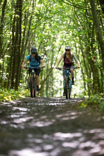 Vorschau Bild von Mountainbiken im Wienerwald