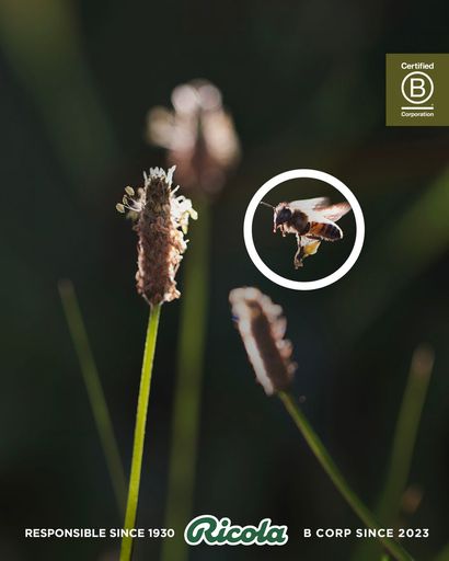 Responsible since 1930 - BCorp since 2023 / Die Verwendung dieses
Bildes für redaktionelle Zwecke ist unter Beachtung aller
mitgeteilten Nutzungsbedingungen zulässig und dann auch honorarfrei.
Veröffentlichung ausschließlich mit Bildrechte-Hinweis.