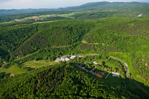 Vorschau Bild von Wald, Wald, Wald - und die Krainerhütte im
Helenental. Ein perfekter Ort für WALDNESS.