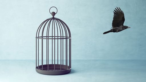  Provision vs. Honorar bei langfristiger Geldanlage
