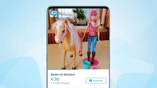 „Barbie“ wird 65 Jahre alt: Hype um die Kultfigur
hält auf willhaben weiter an