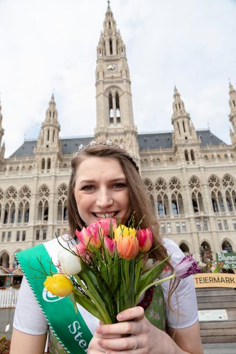 Vorschau Bild von Die Steiermark bringt den Frühling nach Wien.