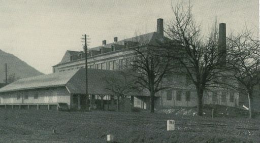  Eine historische Aufnahme des LAUFEN
Produktionsstandortes in Gmunden, OÖ, aus dem Jahr 1925.
