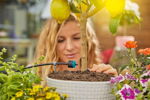 Vorschau Bild von GARDENA Micro-Drip-System, die wassersparende
Tröpfchenbewässerung. Es eignet sich für die punktgenaue Bewässerung
von Zier- und Nutzpflanzen auf Balkon und Terrasse, in Gemüse-,
Hoch- oder Blumenbeeten oder Hecken.