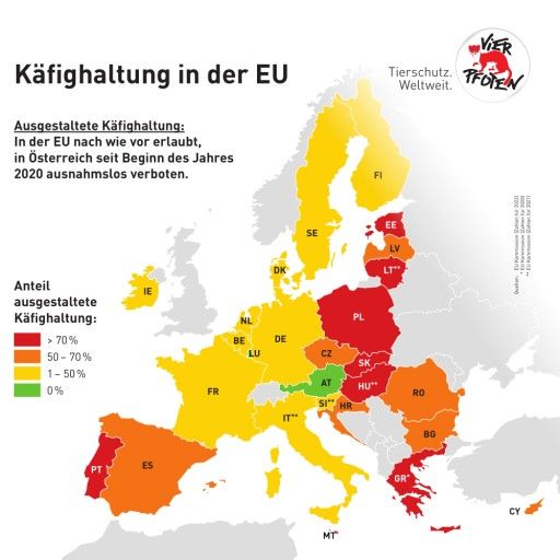 Vorschau Bild von Übersicht: Käfighaltung in der EU