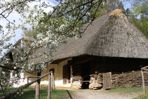 Vorschau Bild von Das Berglerhaus im Österreichischen Freilichtmuseum Stübing in
frühlingshafter Stimmung