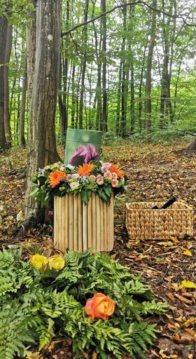 Vorschau Bild von Eine Baumbestattung im Wald der Ewigkeit wie sie
die Naturbestattung Zadrobilek durchführt.
