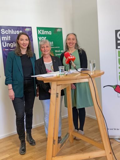Vorschau Bild von Karin Stanger, Maria Mauk und Claudia Krojer