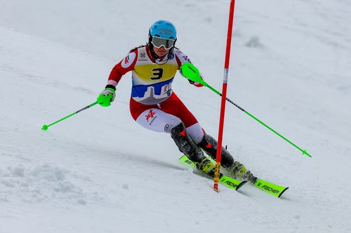  Skirennläufer in Action