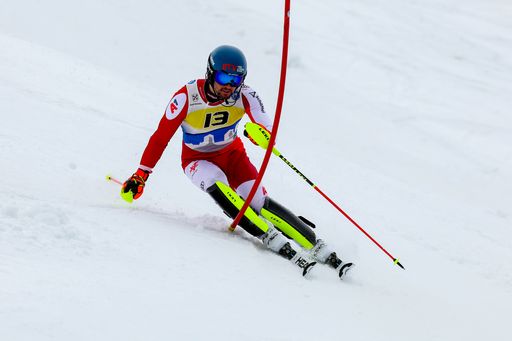 Vorschau Bild von Skirennläufer in Action