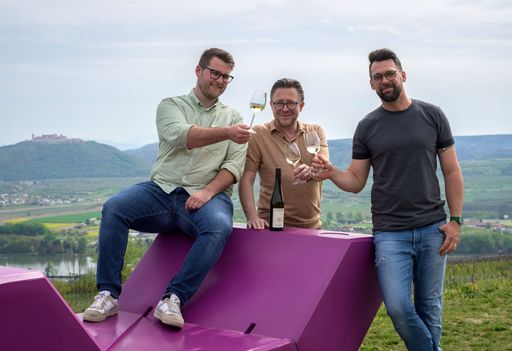 Vorschau Bild von In den Weinbergen über Krems präsentiert das Team des
Stadtmarketing Krems gemeinsam mit der Agentur Branding Brothers den
neuen Werbeauftritt der Stadt Krems unter dem Motto "Kremser Summer
of Wine".