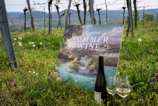 Vorschau Bild von In den Weinbergen über Krems präsentiert das Team des
Stadtmarketing Krems gemeinsam mit der Agentur Branding Brothers den
neuen Werbeauftritt der Stadt Krems unter dem Motto "Kremser Summer
of Wine".