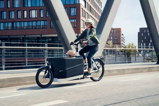 Vorschau Bild von E-Transportfahrrad von Riese & Müller