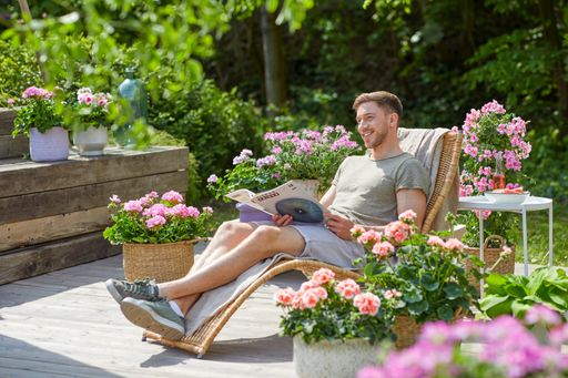  Pelargonien sind pflegeleichte Dauerblüher für
Balkon und Terrasse.