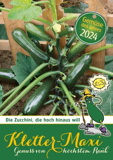 Vorschau Bild von Die Kletterzucchini „Klettermaxi“ wurde zum Gemüse
des Jahres von den österreichischen Gärtnern gewählt.