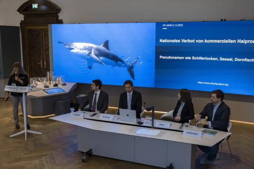 Umfangreiche Informationsarbeit der Arten- und
Meeresschutzorganisation Sharkproject führte zu einem gemeinsamen
Entschließungsantrag aller Parlamentsparteien und zu mehr Haischutz
in Österreich.