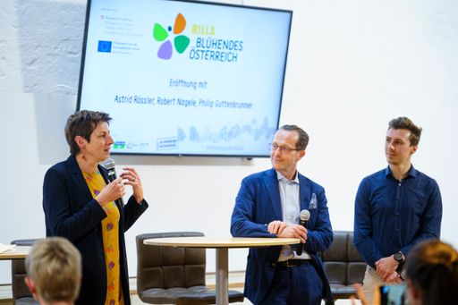 Vorschau Bild von Changemaker #nature: Die Gewinnerprojekte 2024
stehen fest!