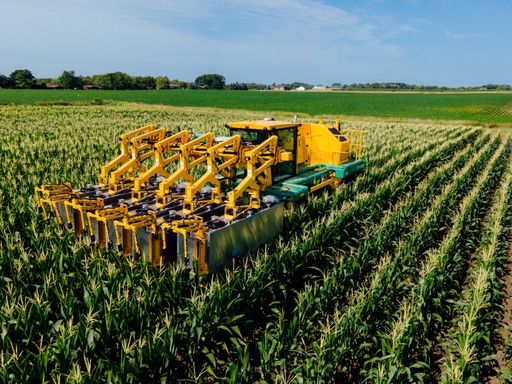 Vorschau Bild von PowerPollen Collector in einem Maisfeld