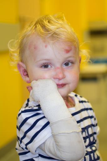 Vorschau Bild von Schmetterlingskind