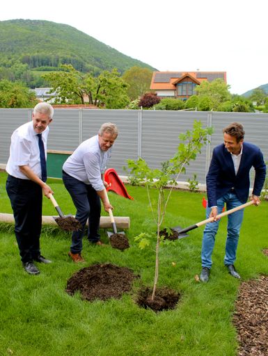 Vorschau Bild von Baumpflanzung nach Schlüsselübergabe