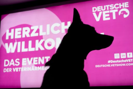 Die DeutscheVET 2024 in Dortmund ist das jährliche Highlight für
Fachleute aus der Veterinärmedizin, bietet ein umfangreiches
Programm mit internationalen Speakern und über 2.000 Teilnehmern. /
Weiterer Text über ots und www.presseportal.de/nr/153514 / Die
Verwendung dieses Bildes für redaktionelle Zwecke ist unter
Beachtung aller mitgeteilten Nutzungsbedingungen zulässig und dann
auch honorarfrei. Veröffentlichung ausschließlich mit
Bildrechte-Hinweis.