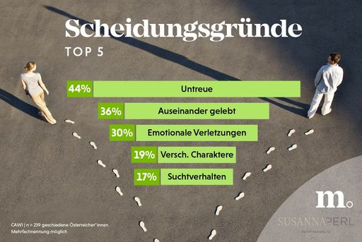 Infografik zur Online-Studie Scheidungsreport - Top
5 Scheidungsgründe