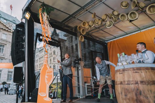 Vorschau Bild von Ausg'steckt is'! Aufziehen des Heurigenbuschens Am
Hof in Wien.