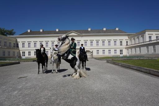 Vorschau Bild von Barocke Reitkunst beim Internationalen Feuerwerkswettbewerb in
den Herrenhäuser Gärten / Weiterer Text über ots und
www.presseportal.de/nr/171861 / Die Verwendung dieses Bildes für
redaktionelle Zwecke ist unter Beachtung aller mitgeteilten
Nutzungsbedingungen zulässig und dann auch honorarfrei.
Veröffentlichung ausschließlich mit Bildrechte-Hinweis.