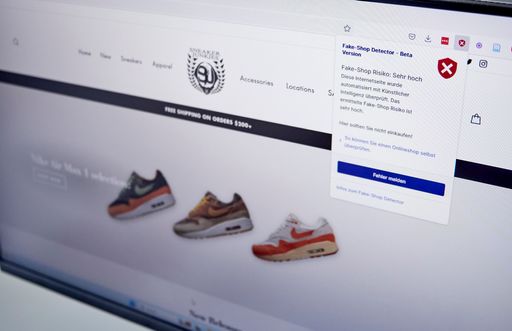 Vorschau Bild von Fake-Shop mit Plugin-Anzeige