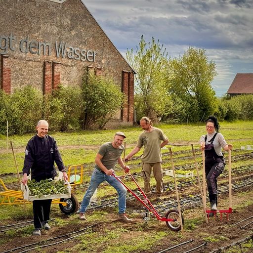 Vorschau Bild von Gugumucks Market Garden Team