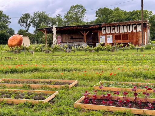  Gugumucks Market Garden in Rothneusiedl