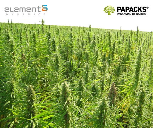element6 Dynamics and PAPACKS® Announce Partnership Intentions /
Largest industrial hemp deal in U.S. history is a milestone for
decarbonization efforts / Weiterer Text über ots und
www.presseportal.de/nr/125522 / Die Verwendung dieses Bildes für
redaktionelle Zwecke ist unter Beachtung aller mitgeteilten
Nutzungsbedingungen zulässig und dann auch honorarfrei.
Veröffentlichung ausschließlich mit Bildrechte-Hinweis.