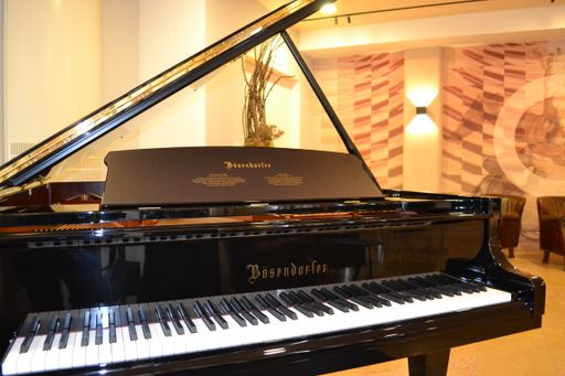 Vorschau Bild von Benefizveranstaltung in Kooperation mit Bösendorfer
im Veranstaltungsraum der ATOMOS Klinik Währing.